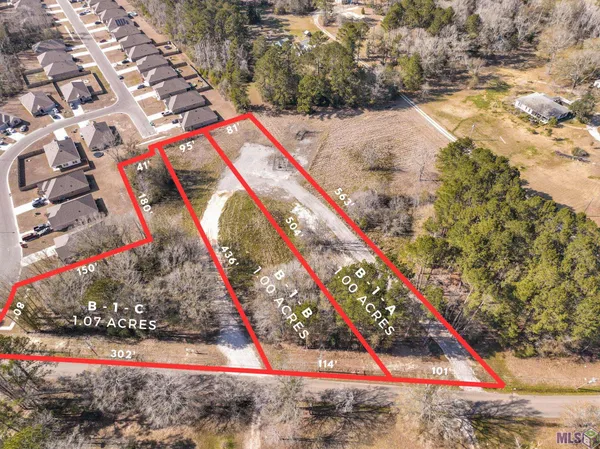 $50,000 | Lot B-1 Lot B-1 B Burgess Road, Denham Springs, LA 70726