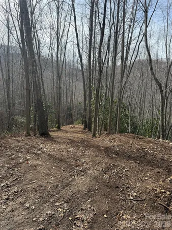 a backyard of a house with large trees
