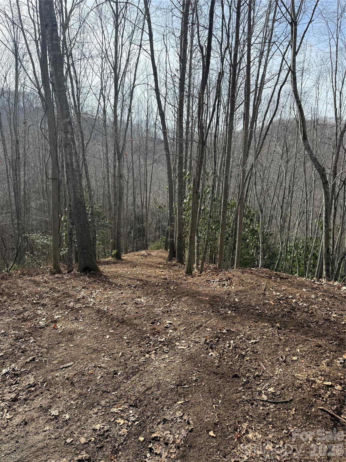 236 Down The Hill Road Sylva, NC 28779 - Photo 1 of 4 a backyard of a house with large trees