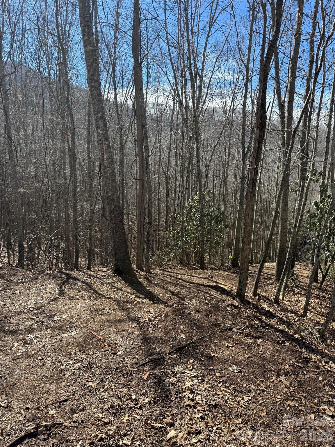236 Down The Hill Road Sylva, NC 28779 - Photo 2 of 4 a view of a yard with large trees
