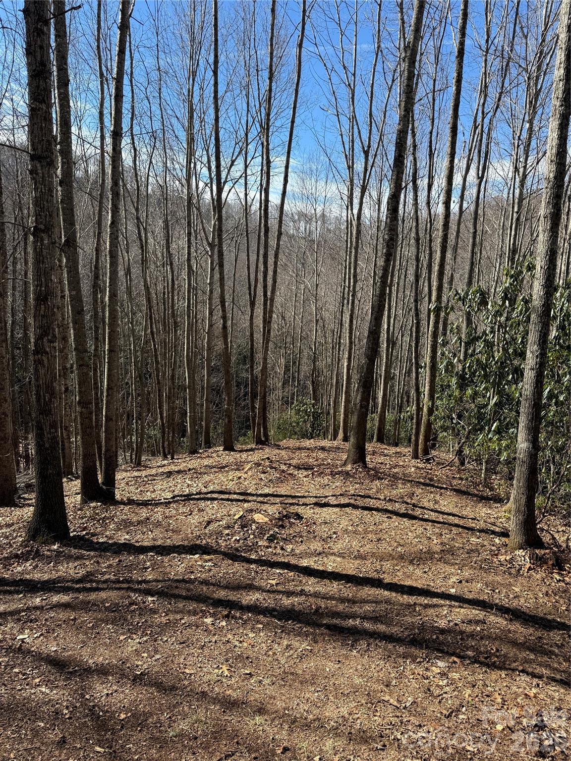 236 Down The Hill Road Sylva, NC 28779 - Photo 4 of 4 a view of a backyard with of the house