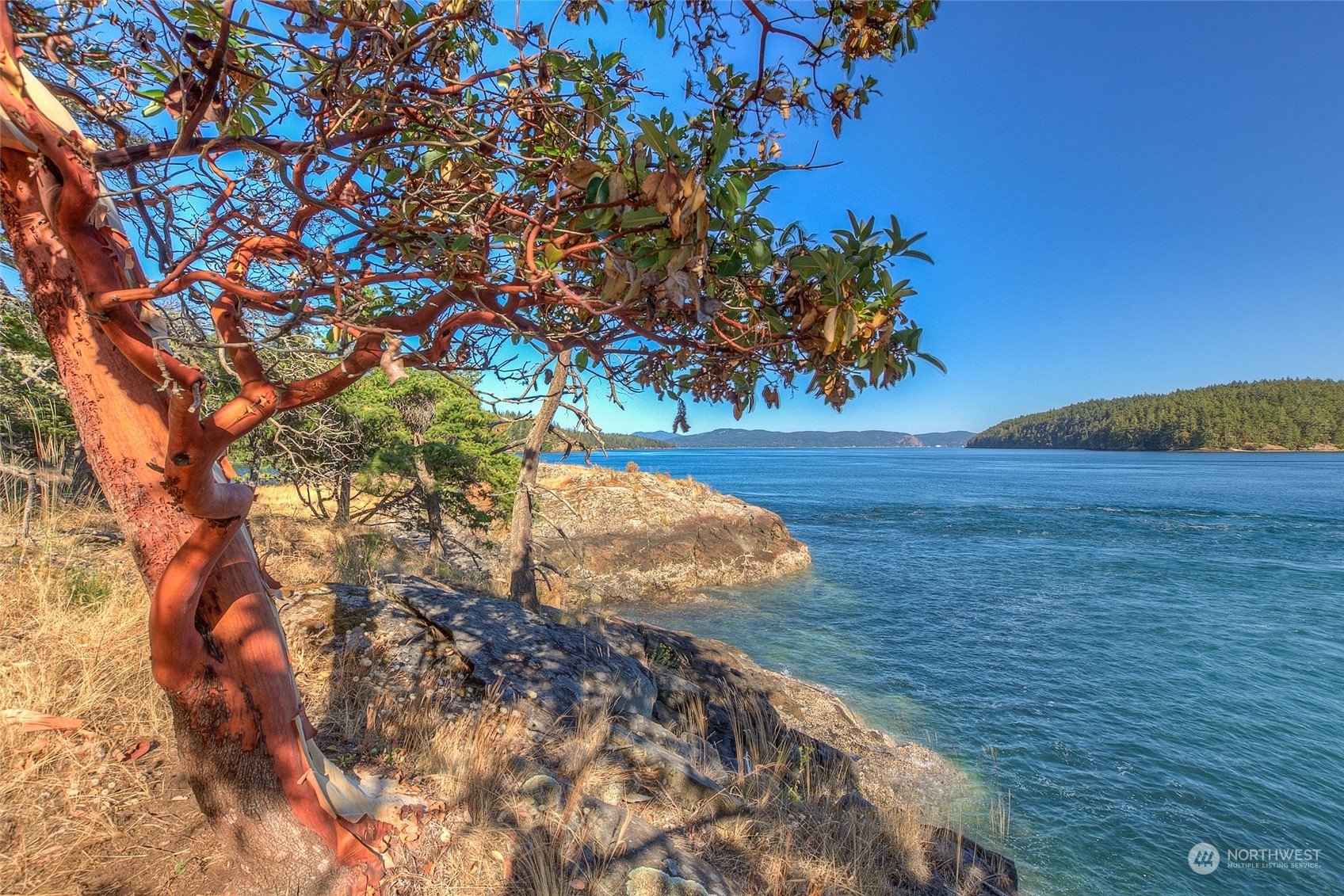 770 Double Cove Road Orcas Island, WA 98280 - Photo 32 of 39 Gallery Image 32