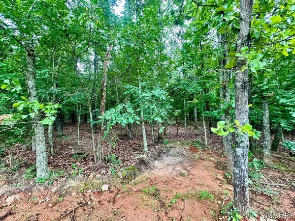 $52,500 | 0 Co Road, Salem, MO 65560