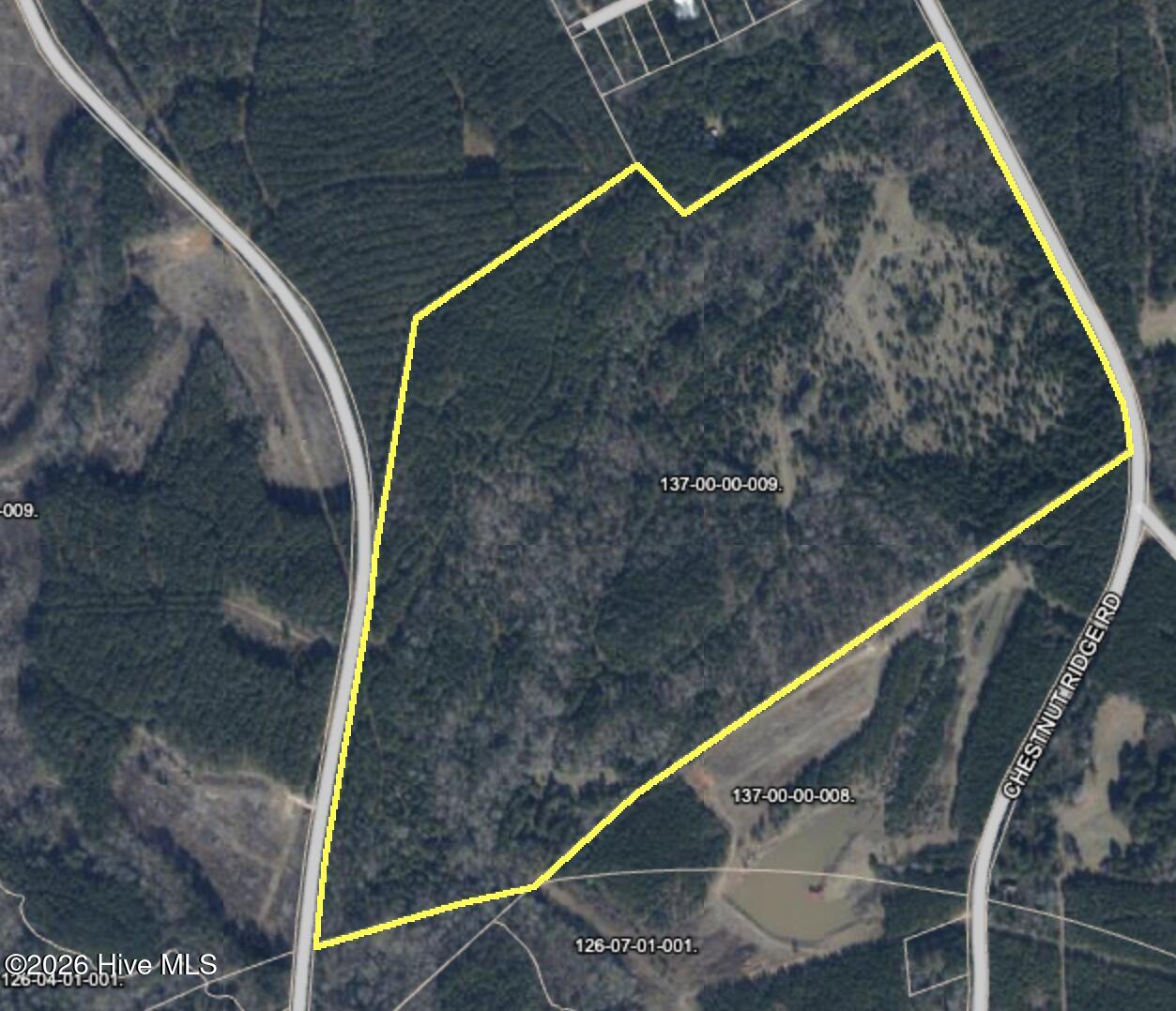 0 Chestnut Ridge Road McCormick, SC 29835 - Photo 11 of 11