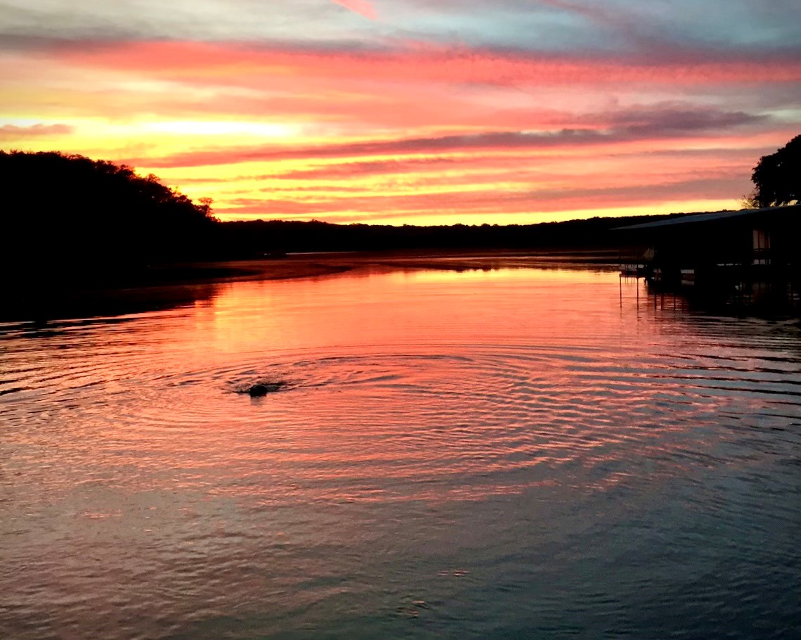 26809 Blue Cove Road Marble Falls, TX 78654 - Photo 11 of 20 View of cove from boat launch