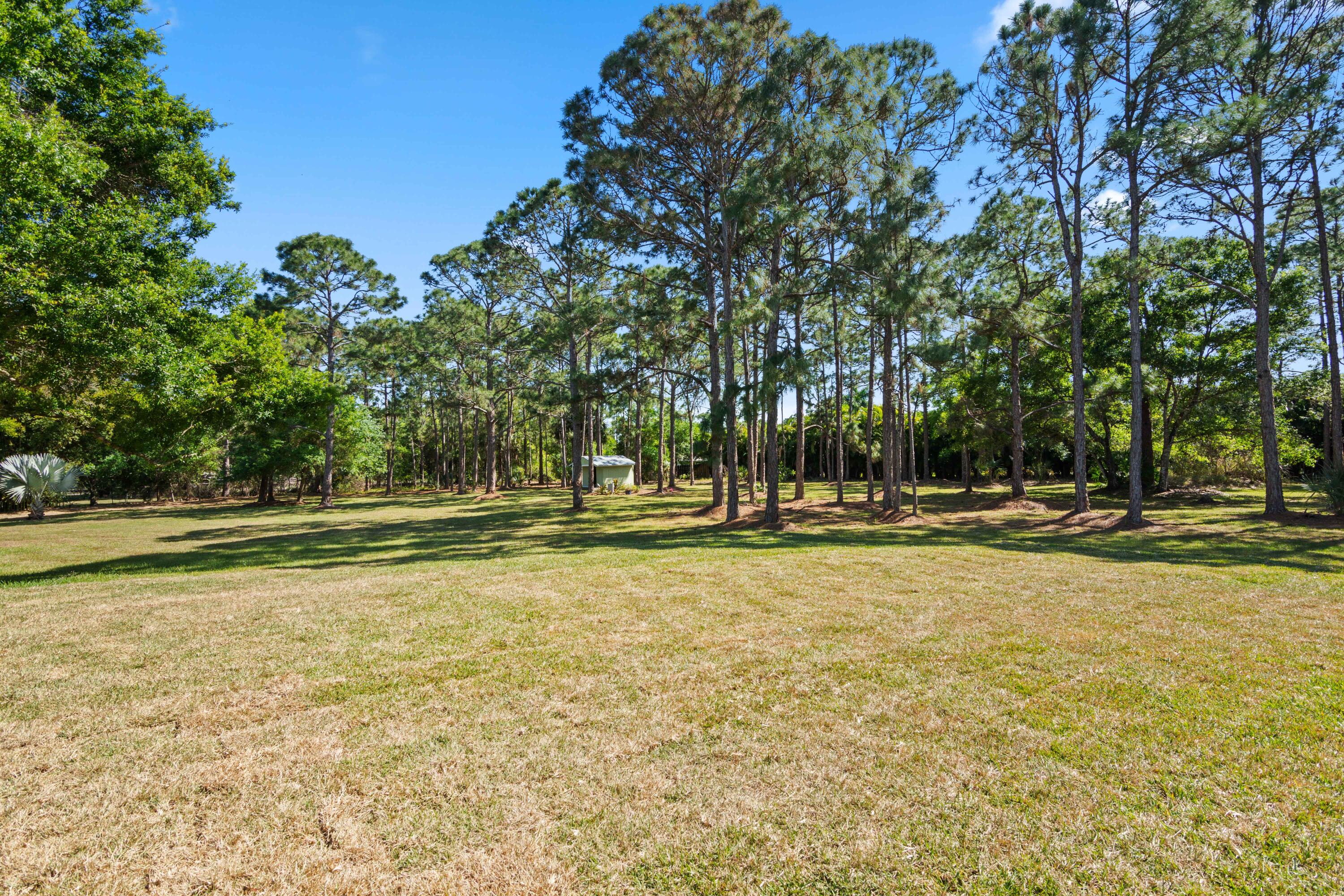 8850 Hidden Pines Road Fort Pierce, FL 34945 - Photo 59 of 72 a view of swimming pool with outdoor seating and trees