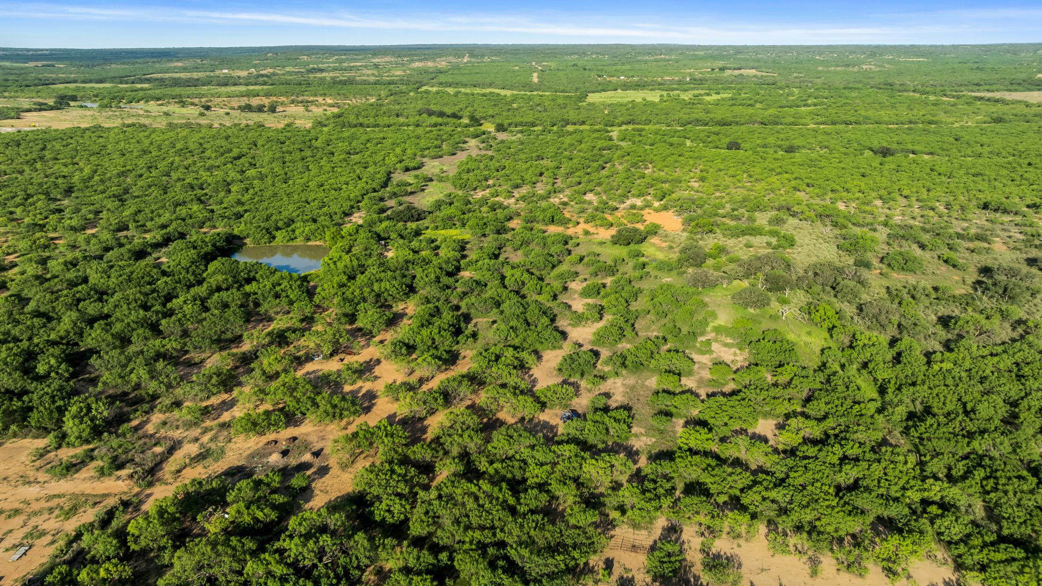 2315 St Rochelle Tx 76872 Rochelle, TX 76872 - Photo 20 of 20 View of property location featuring a forest