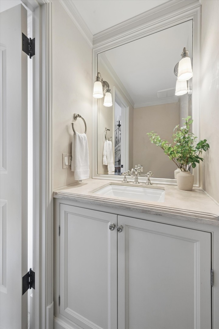 325 Princeton Road Hinsdale, IL 60521 - Photo 25 of 55 a bathroom with a granite countertop sink a potted plant and a mirror
