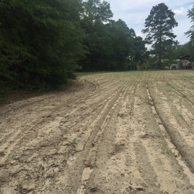 21474 Plywood Mill Road Andalusia, AL 36421 - Photo 37 of 43 Gallery Image 37