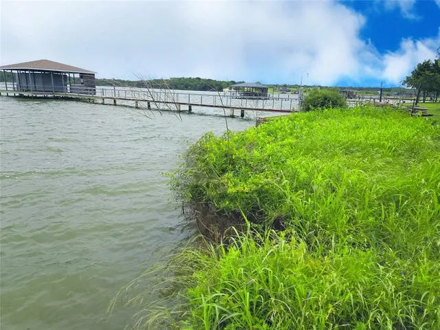 a backyard with a garden and trees