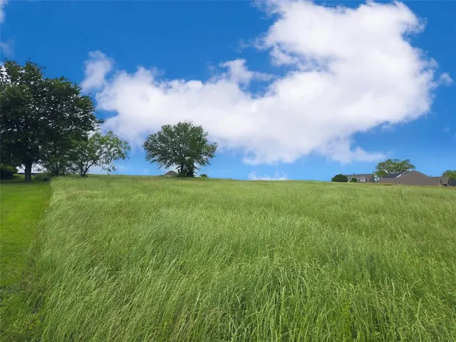 a view of green field