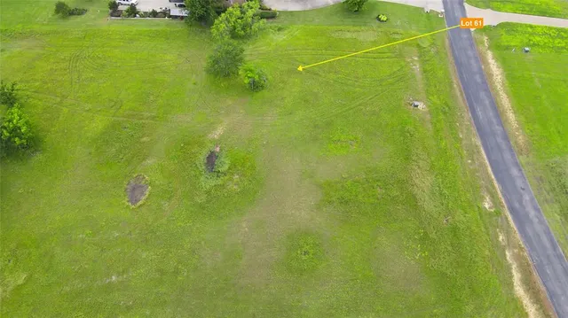 a view of a grassy field with trees