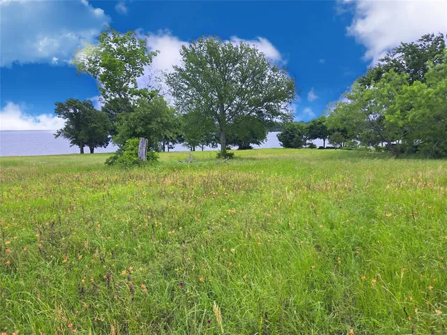 a view of a field with a tree
