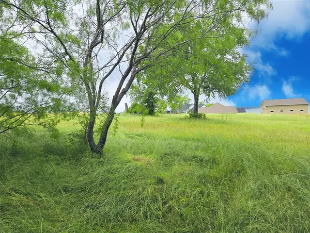 a view of garden with tall trees