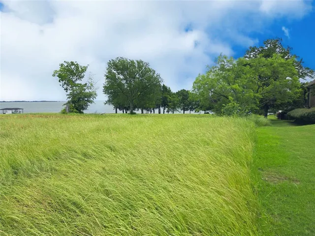 a view of an outdoor space and yard