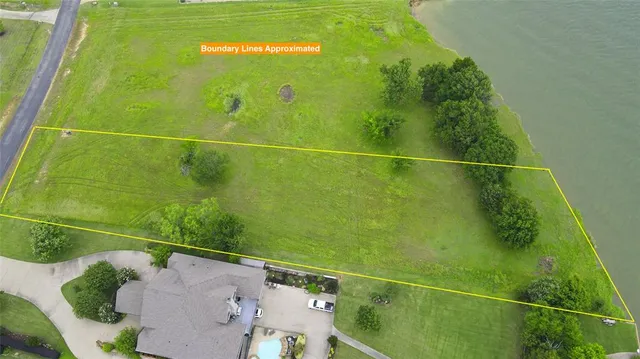 a view of an trees with a yard