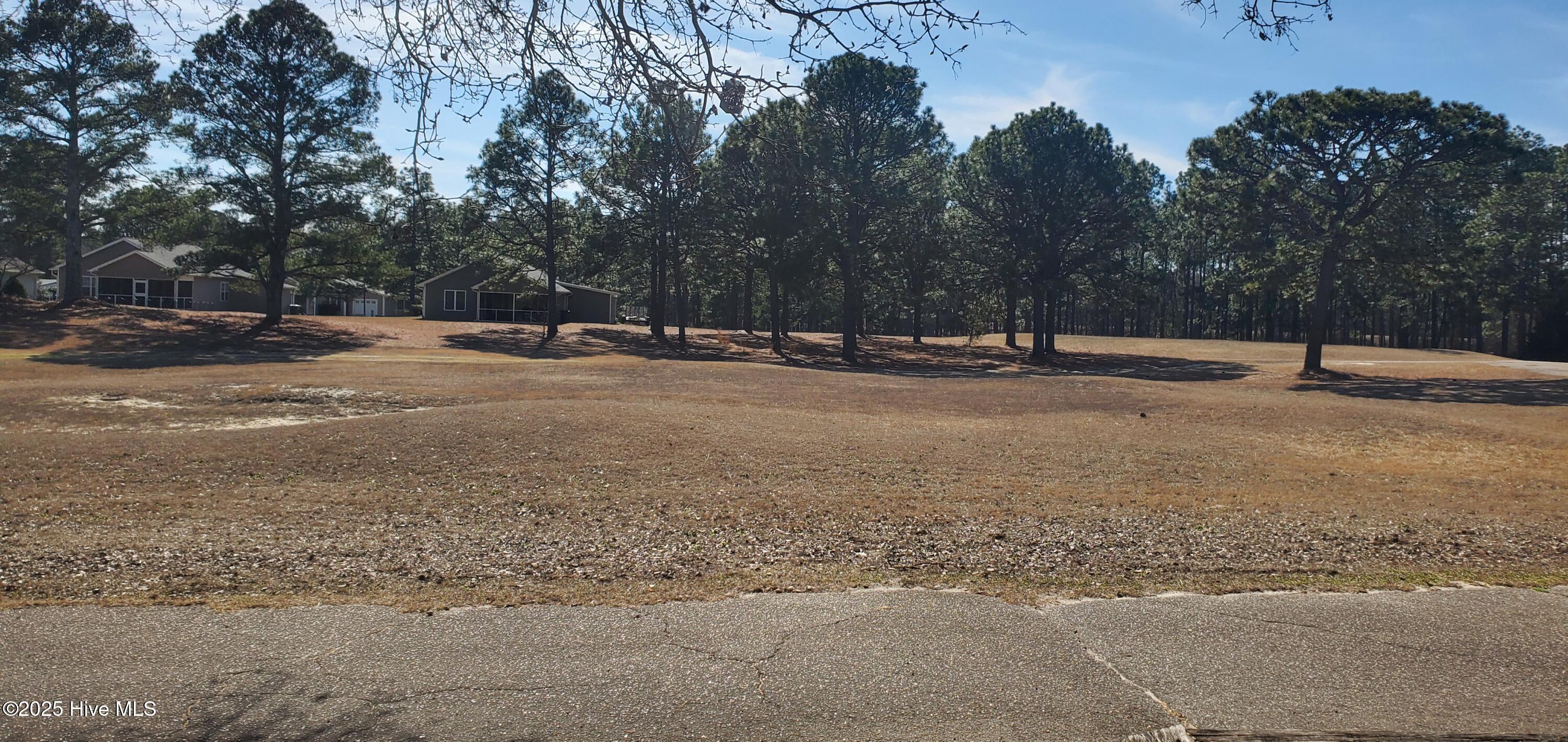 234 Persimmon Drive, Unit C Pinebluff, NC 28373 - Photo 17 of 22 Rearview overlooking the Golf Course