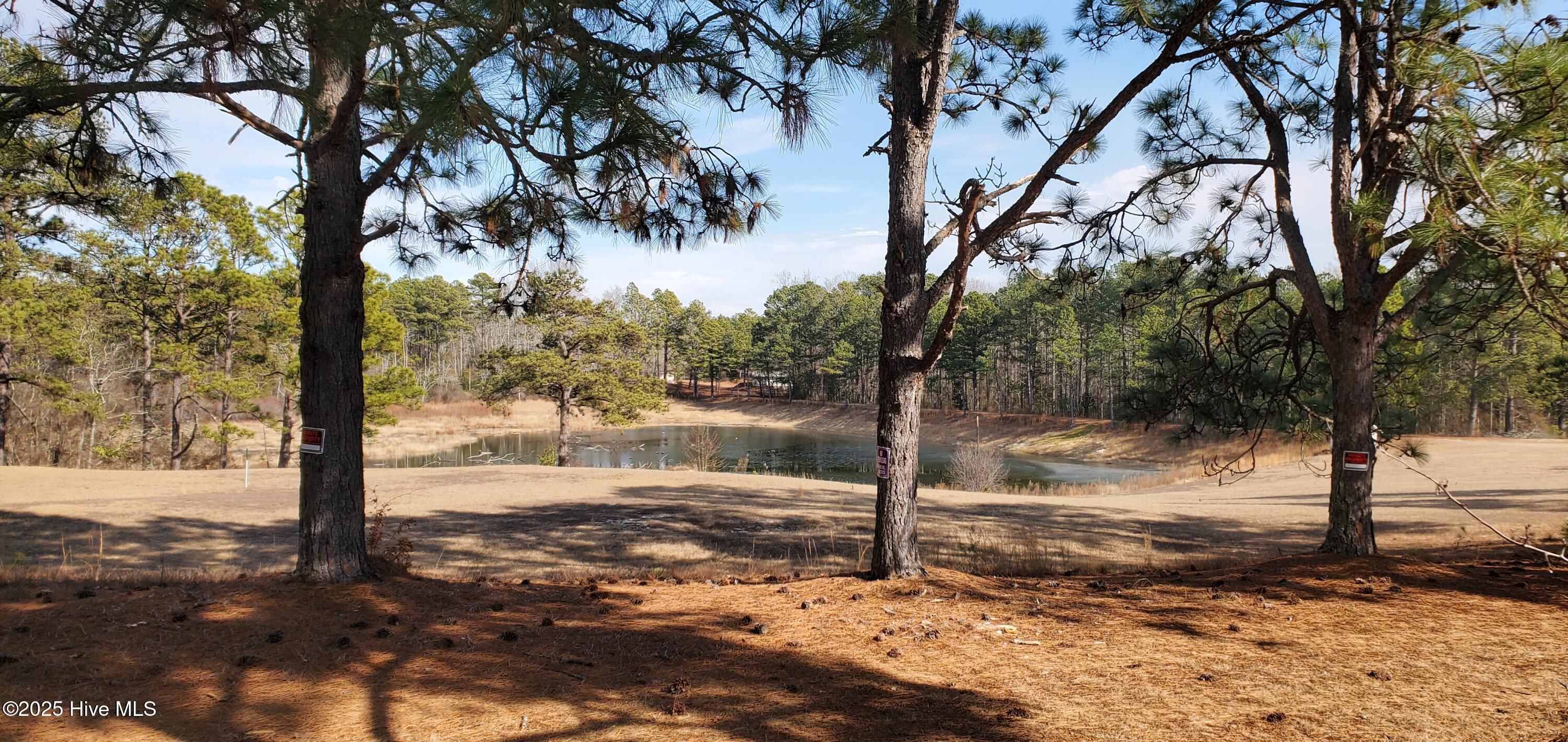 234 Persimmon Drive, Unit C Pinebluff, NC 28373 - Photo 21 of 22 Front View Of the lake
