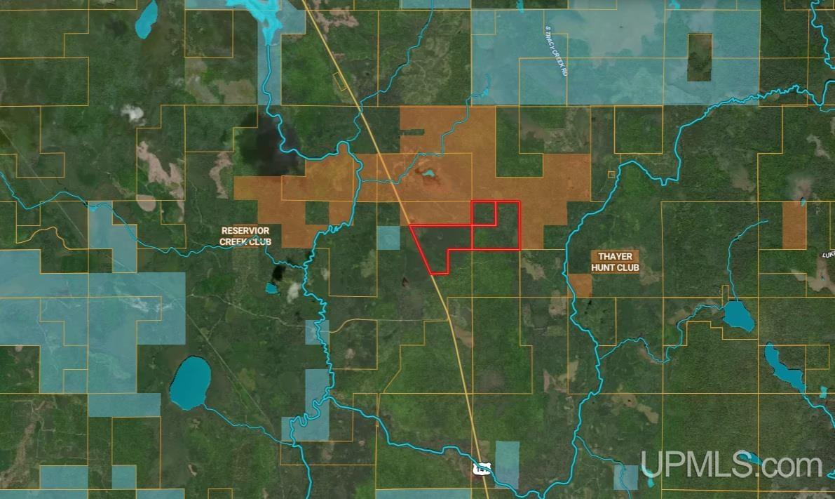 Tbd Us 141 Road, Unit LUKES ROAD Amasa, MI 49903 - Photo 18 of 22