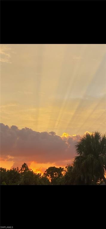 1081 9th Street Southwest Naples, FL 34117 - Photo 40 of 40 View of nature