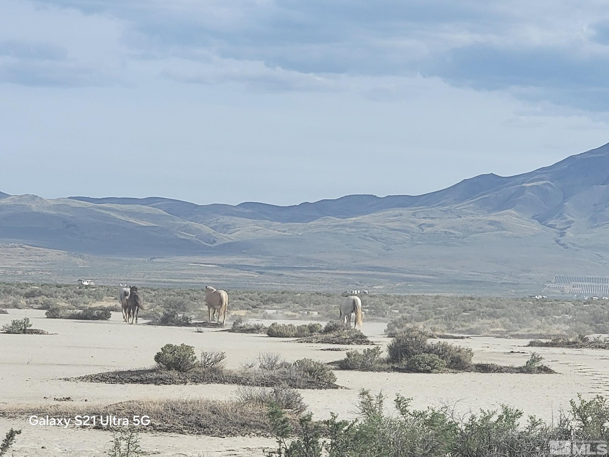 Apn Apn 7416144th Reno, NV 89510 - Photo 1 of 12 Photo 1