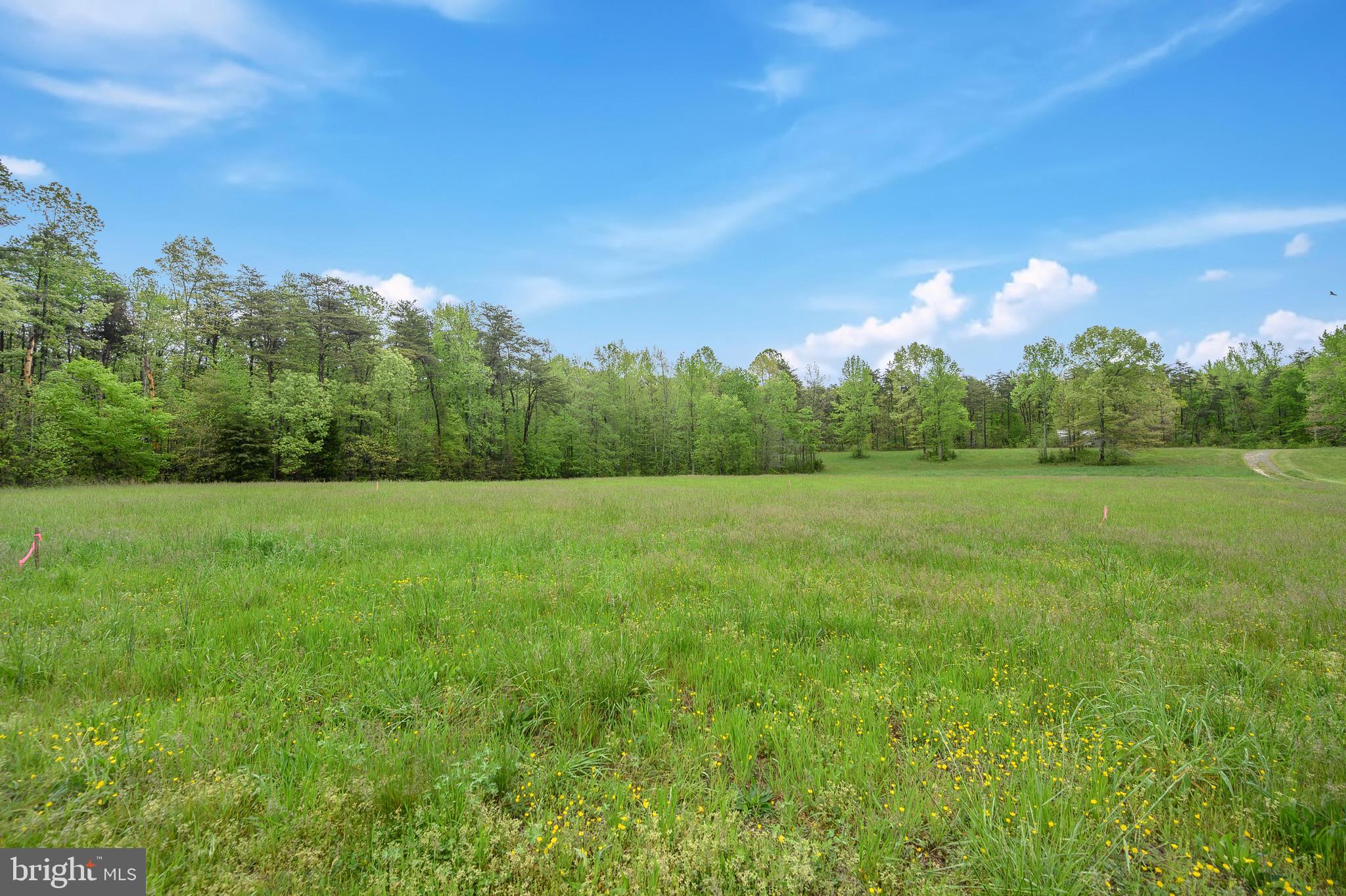 6705 Partlow Road Spotsylvania, VA 22551 - Photo 16 of 42 Gallery Image 16
