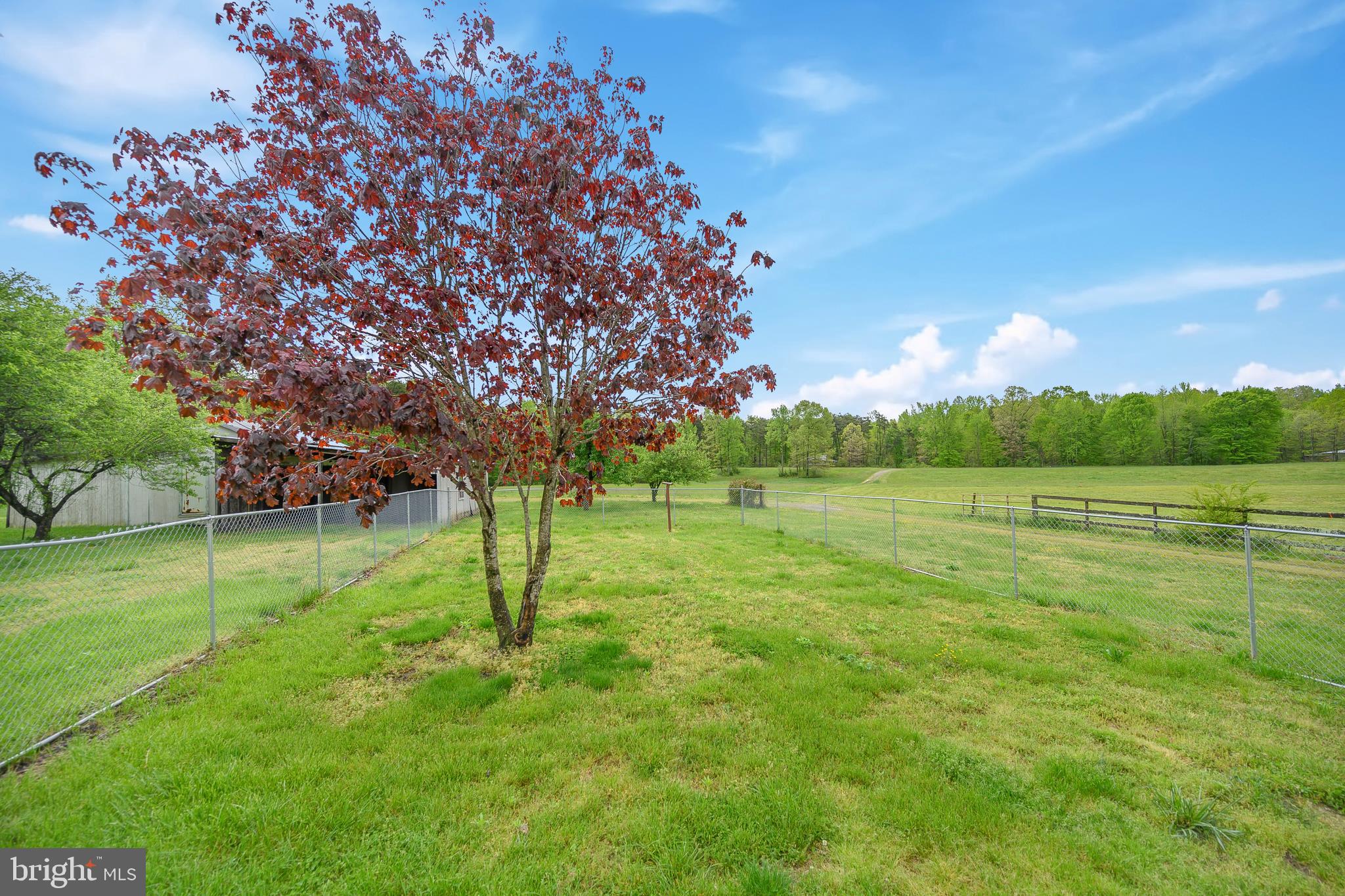 6705 Partlow Road Spotsylvania, VA 22551 - Photo 10 of 42 Gallery Image 10