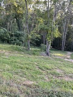 Wells Road Powell, TN 37849 - Photo 2 of 12 Wells Rd 1