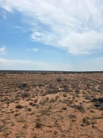 $30,000 | 8317 Buckskin Trail, Snowflake, AZ 85937