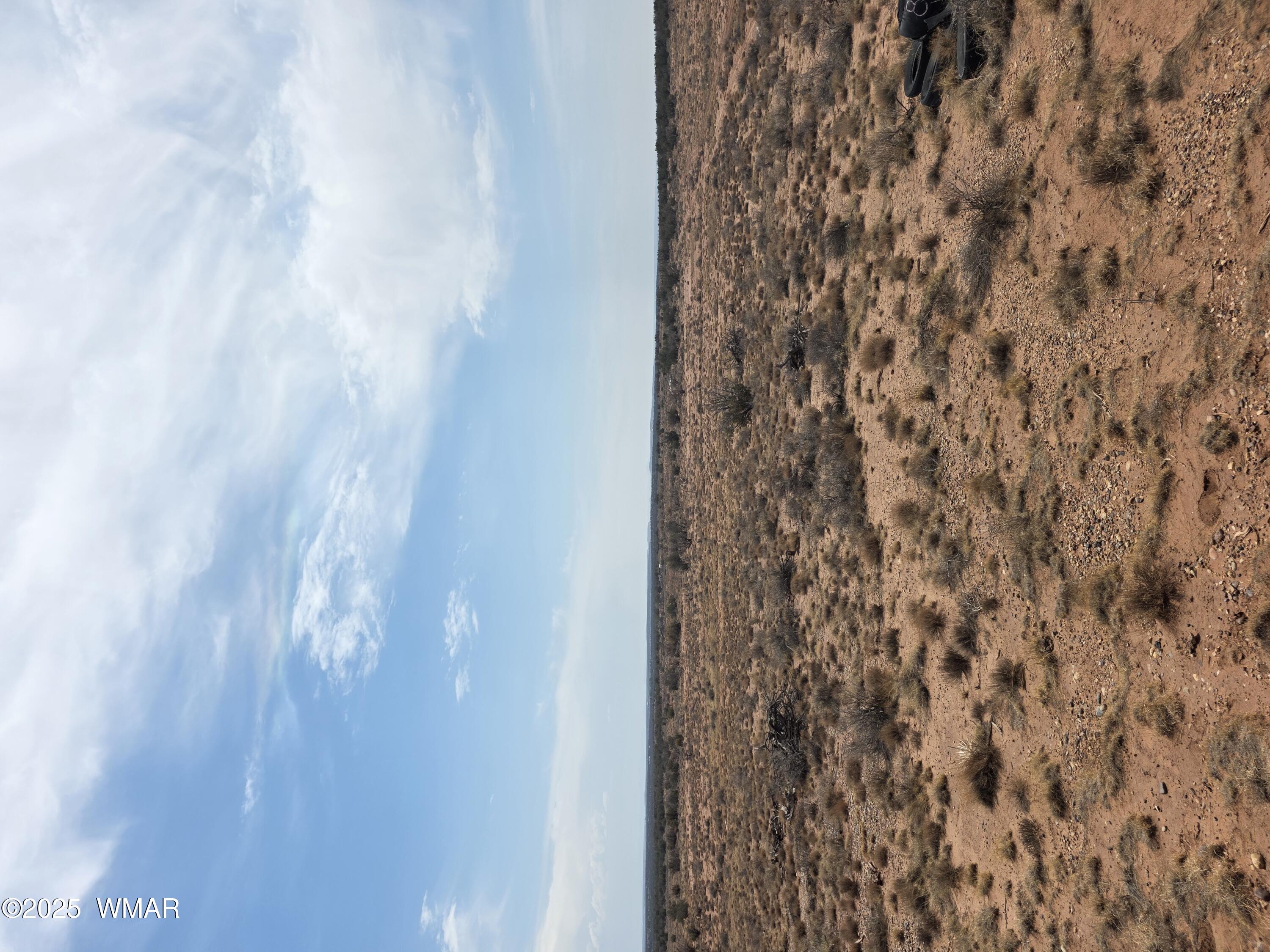 8317 Buckskin Trail Snowflake, AZ 85937 - Photo 1 of 9 Property view