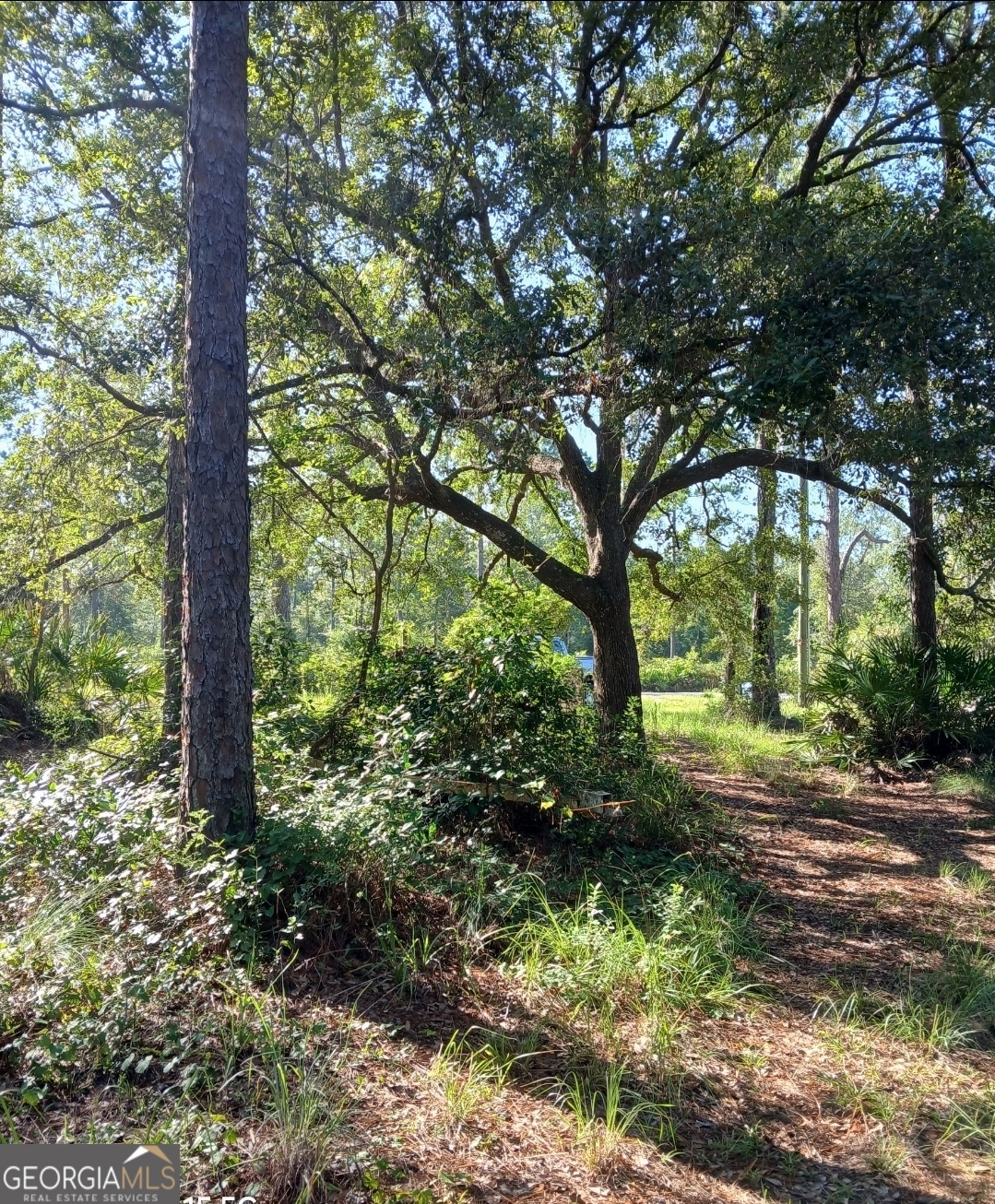 3027 Incachee Road Waverly, GA 31565 - Photo 1 of 1