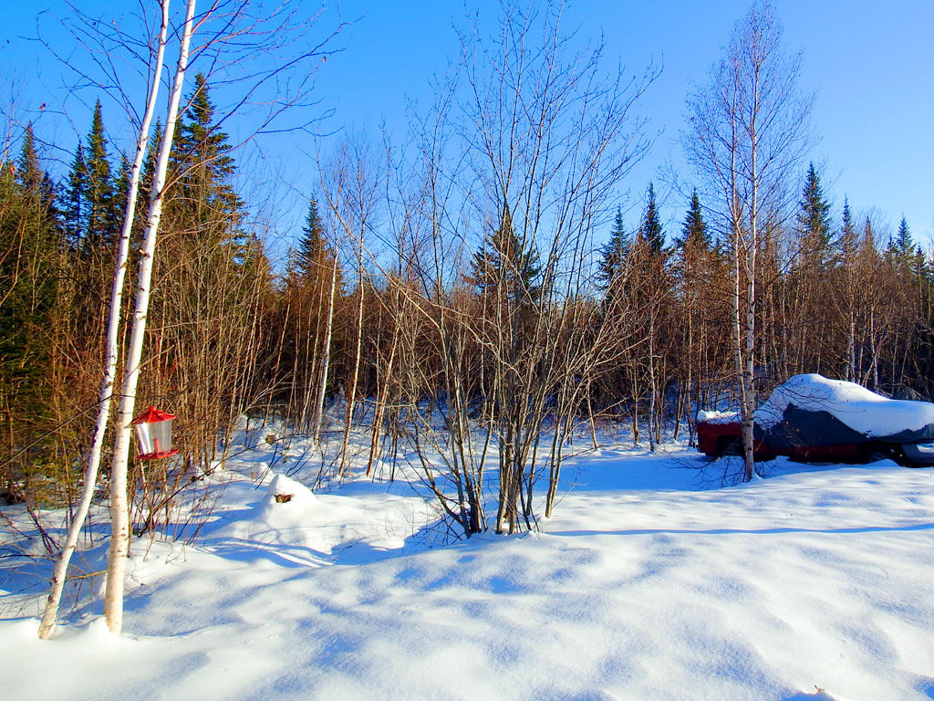342 Station Road Littleton, ME 04730 - Photo 21 of 21 342-station-rd-land-5