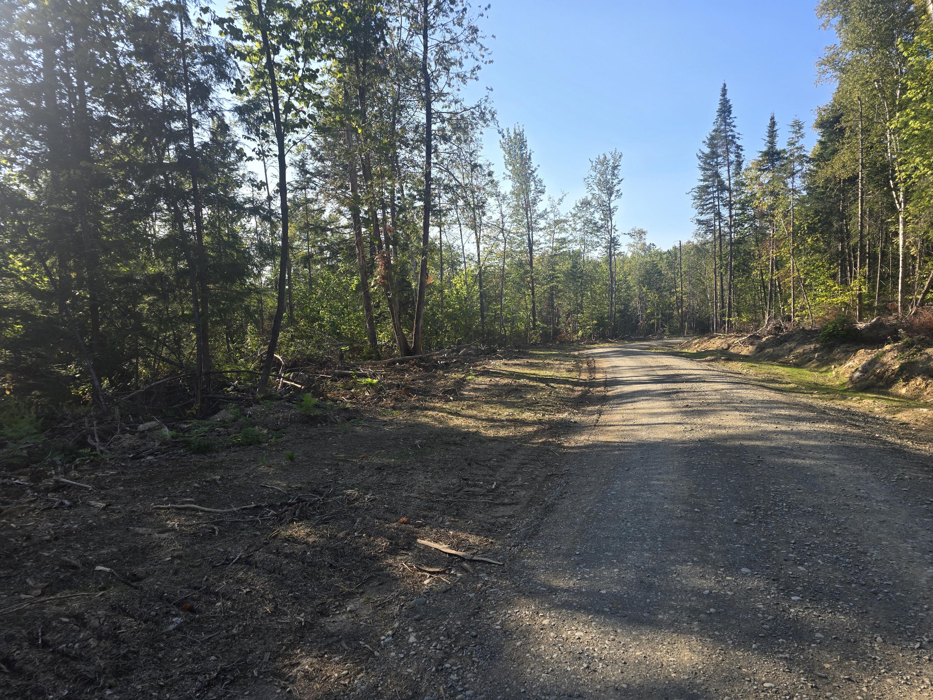 Lot I Sleeper Road Island Falls, ME 04747 - Photo 3 of 16 20250910_162518