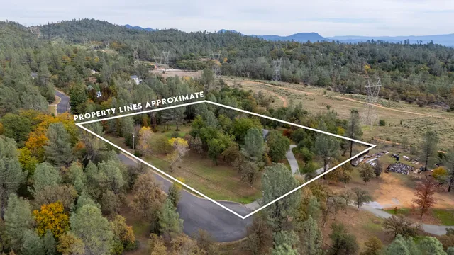 a house that has a big yard with potted plants