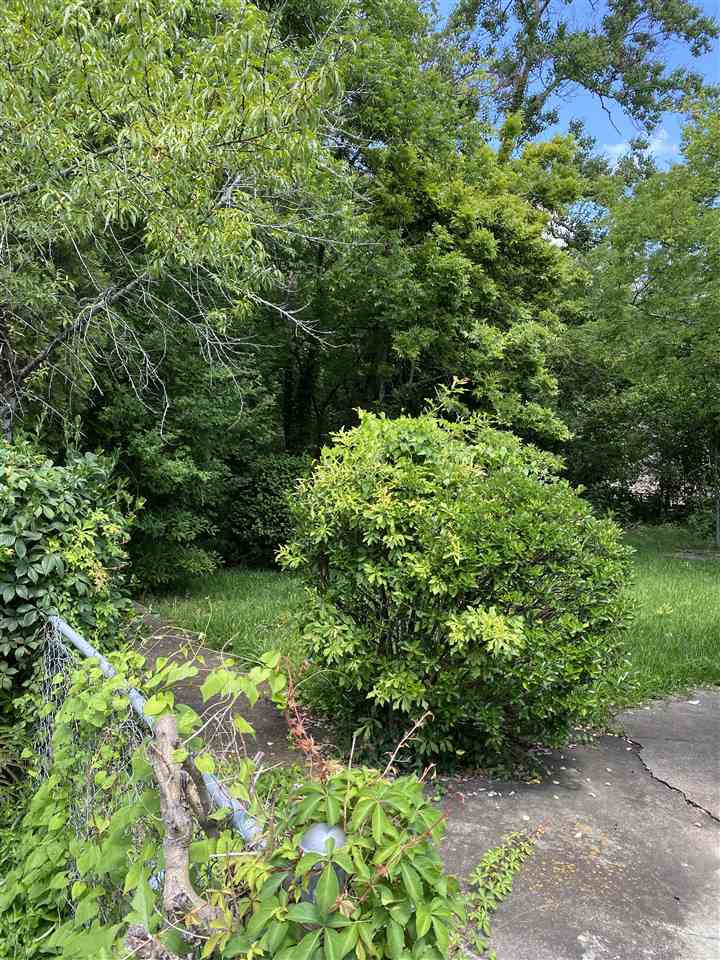 2031 Dr Martin Luther Kin Drive Jackson, MS 39203 - Photo 2 of 14 Photo 2