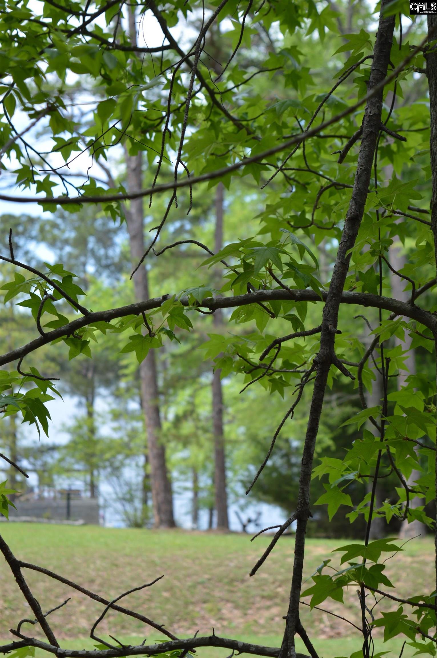 978 Rolling Hills Road Ridgeway, SC 29130 - Photo 8 of 9
