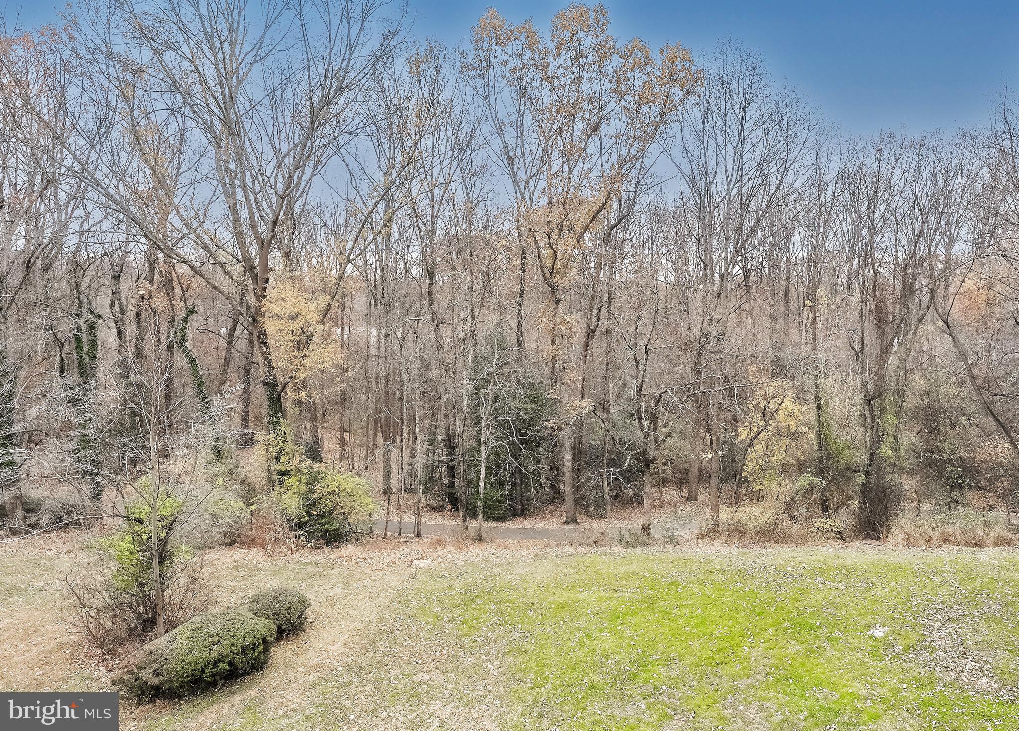 11657 Stoneview Square, Unit 97/22C Reston, VA 20191 - Photo 28 of 28 a view of yard with trees in background