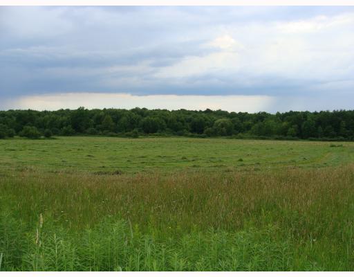 Land.