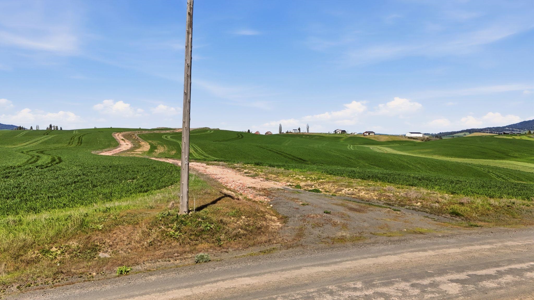 11879 East Elder Road Valleyford, WA 99036 - Photo 10 of 20