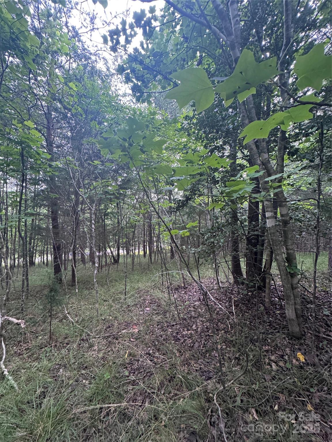 0 Cross Creek Drive, Unit 67 Rutherfordton, NC 28139 - Photo 12 of 17 a backyard of a house with lots of green space