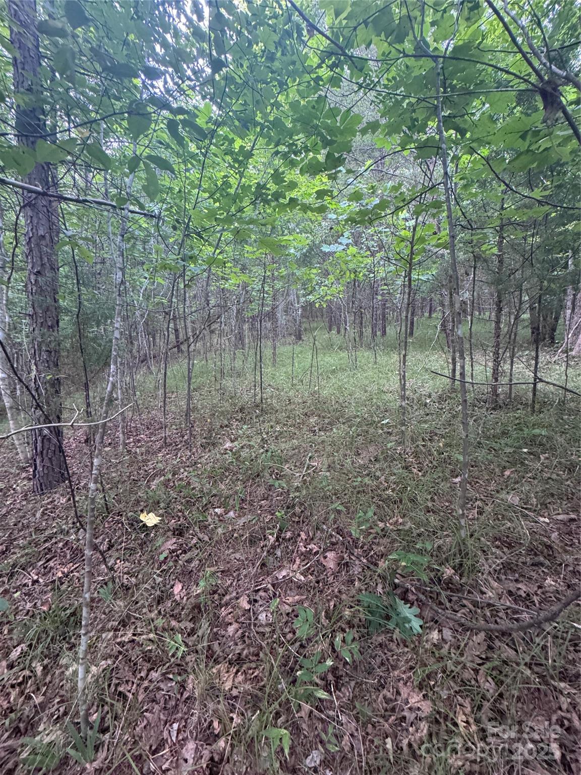 0 Cross Creek Drive, Unit 67 Rutherfordton, NC 28139 - Photo 16 of 17 a view of outdoor space and green space