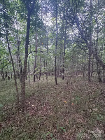 a view of outdoor space with trees all around