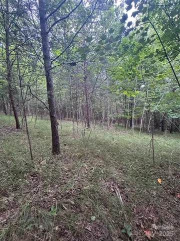 a view of a yard with lots of green space