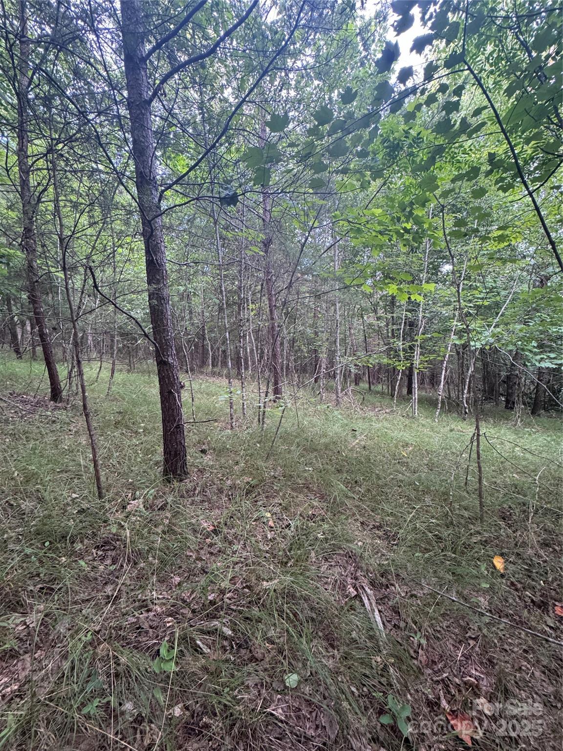0 Cross Creek Drive, Unit 67 Rutherfordton, NC 28139 - Photo 10 of 17 a view of a yard with lots of green space