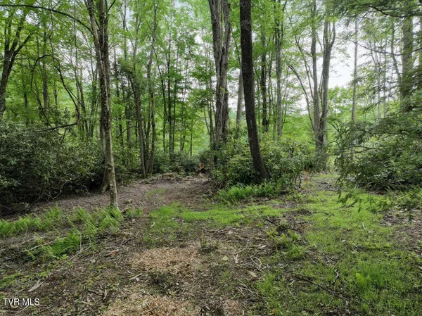 $189,000 | 1762 Ripshin Mountain Road, Unit 52, Roan Mountain, TN 37687