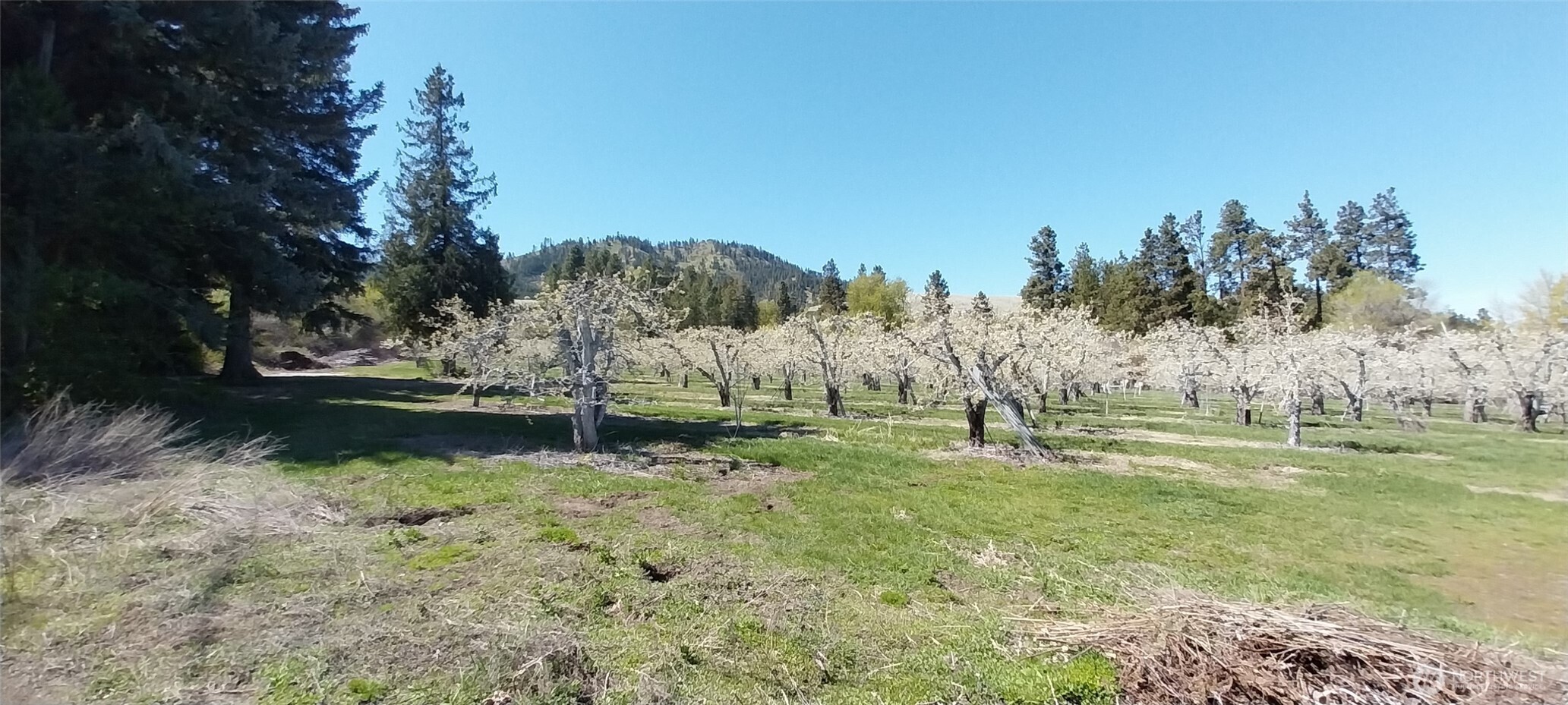 8010 Green Road Peshastin, WA 98847 - Photo 14 of 15