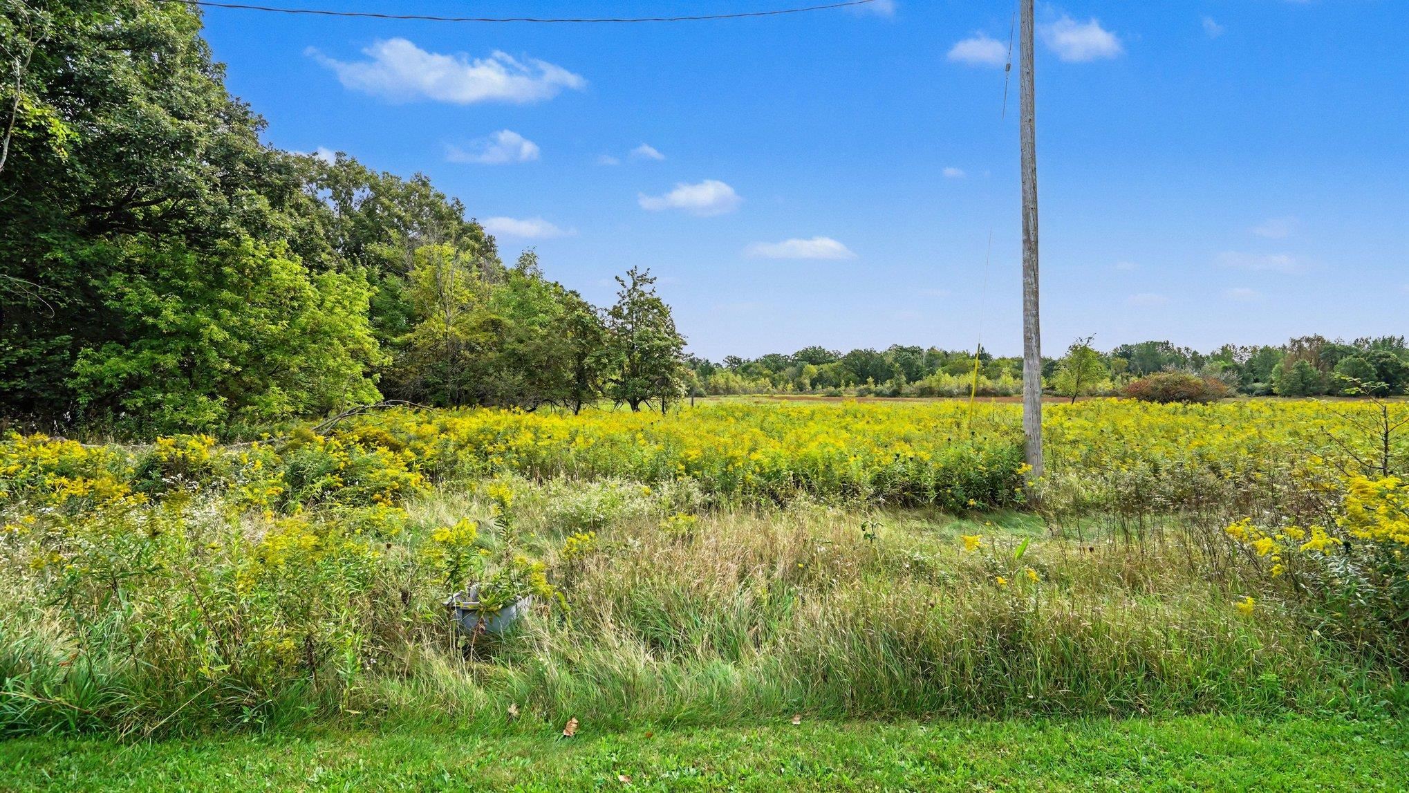 1745 South Shepherd Road Mount Pleasant, MI 48858 - Photo 6 of 19 1950659-ca89d371-6e72-47e4-a095-41b6a8fc0f10.JPG
