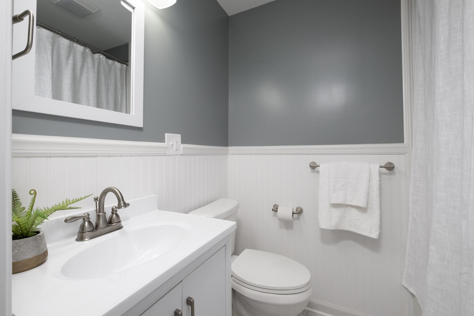 2853 Middlebrook Road Staunton, VA 24401 - Photo 18 of 29 a bathroom with a sink a toilet and mirror