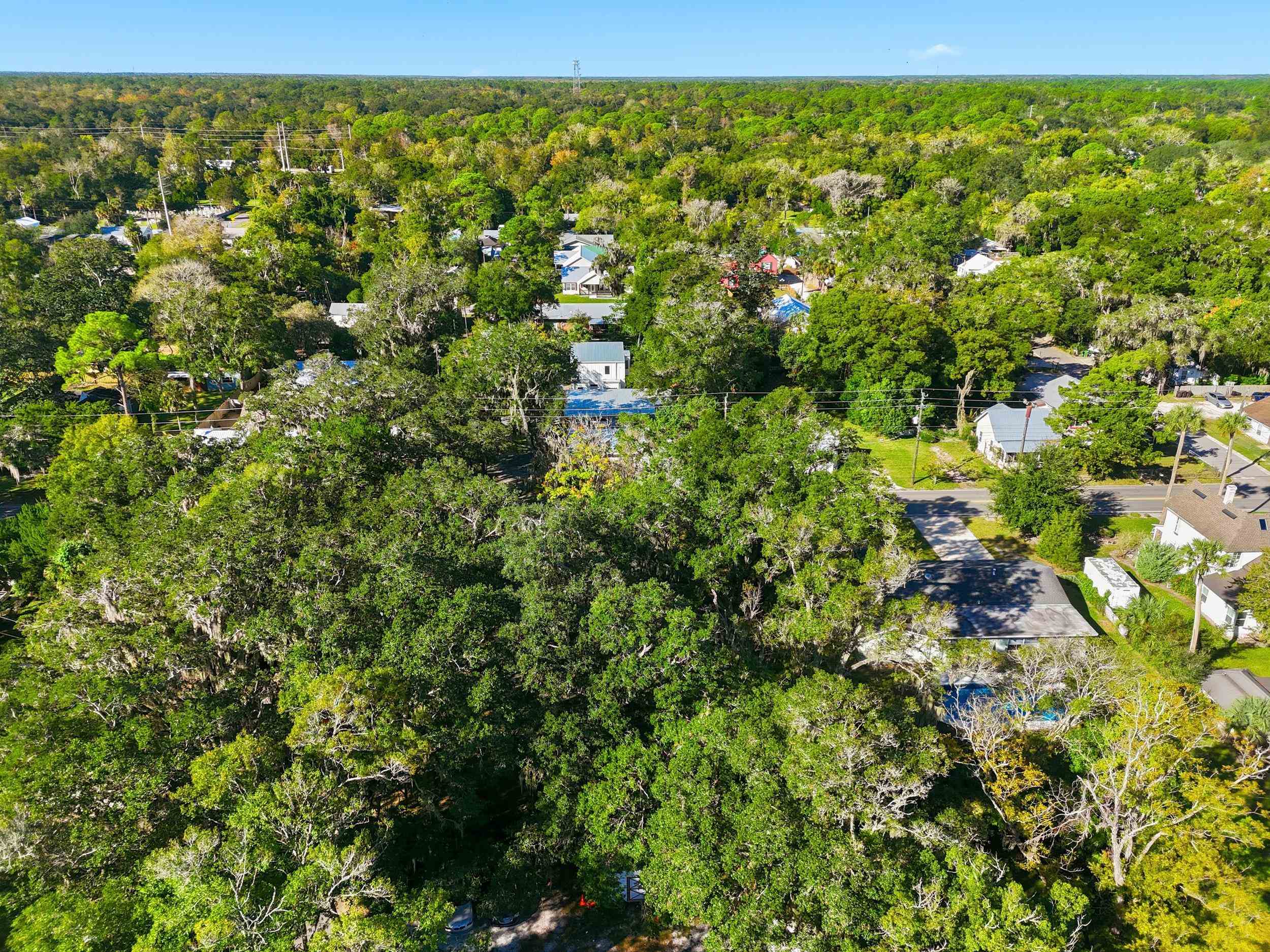 9 Masters Drive St. Augustine, FL 32084 - Photo 37 of 39 a view of a green field