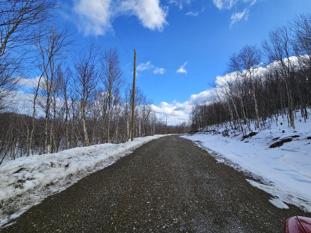 Lot 9 East Moose Alley Road Temple, ME 04984 - Photo 22 of 46